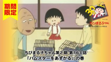 ちびまる子ちゃん　アニメ 第2期 第163話『ハムスターをあずかる』の巻
